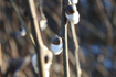 img_vide